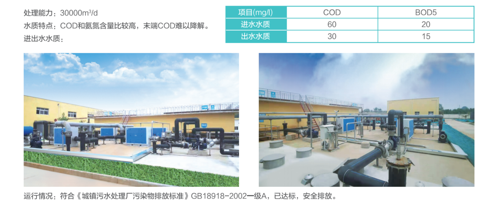舞阳.jpg
